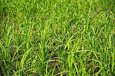 PS5最近的更新还秘密提升了《鬼泣5》《控制》的性能